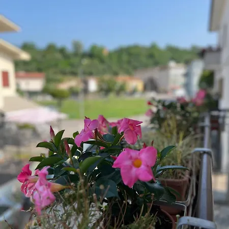 Cecia's House Πανσιόν